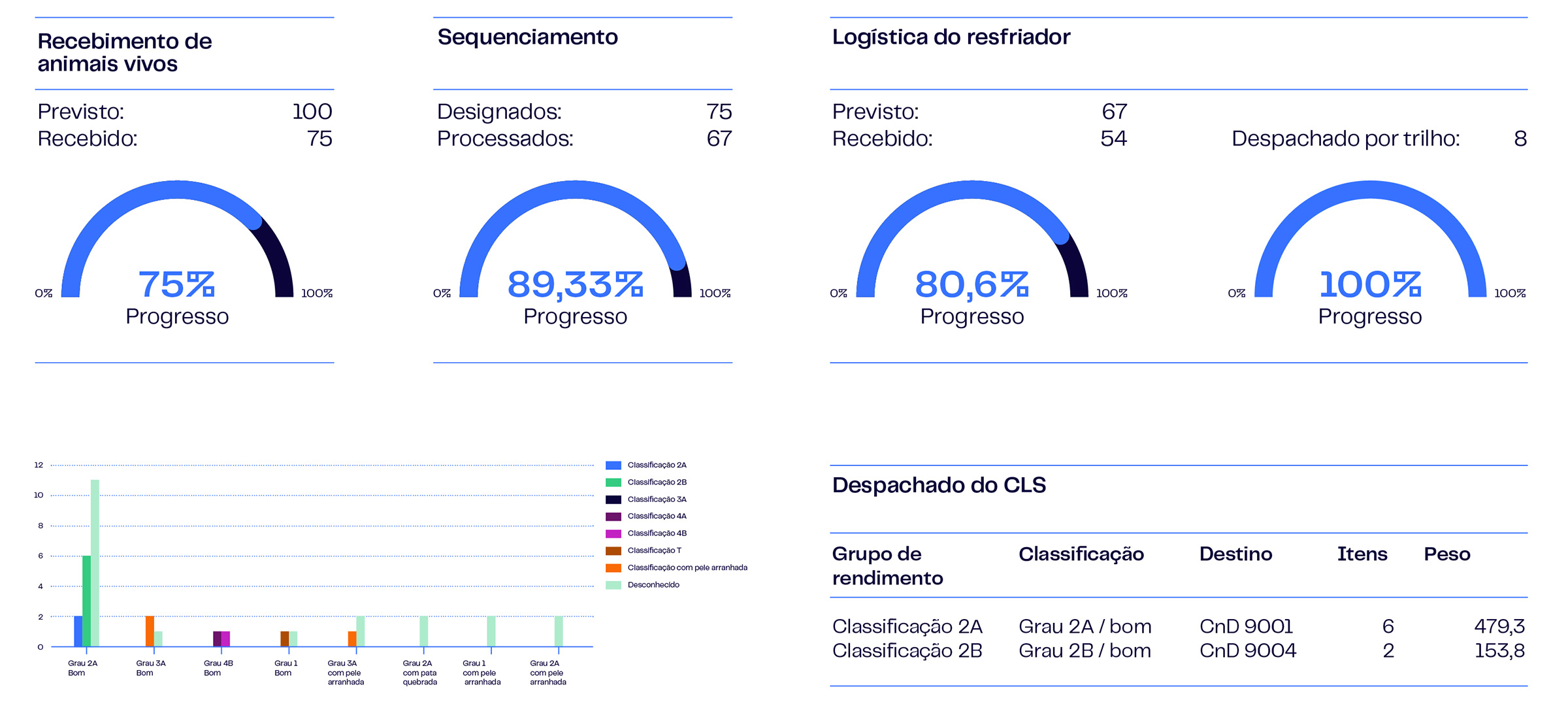 Infographs Meat Dashboards PT