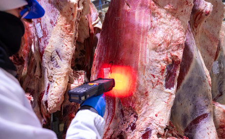 Zakrzewscy Pl Beef Factory Product Scan