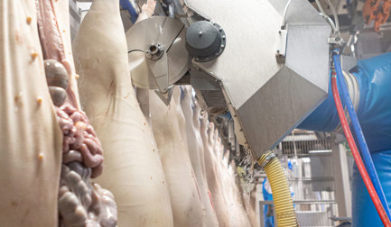 Dressing & Evisceration Equipment for Pigs | JBT Marel Dressing & Evisceration Equipment for Pigs | JBT Marel