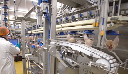 Alcance lo más alto en el procesamiento anatómico de las piernas