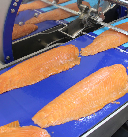 Slicing High Capacity MSC 255