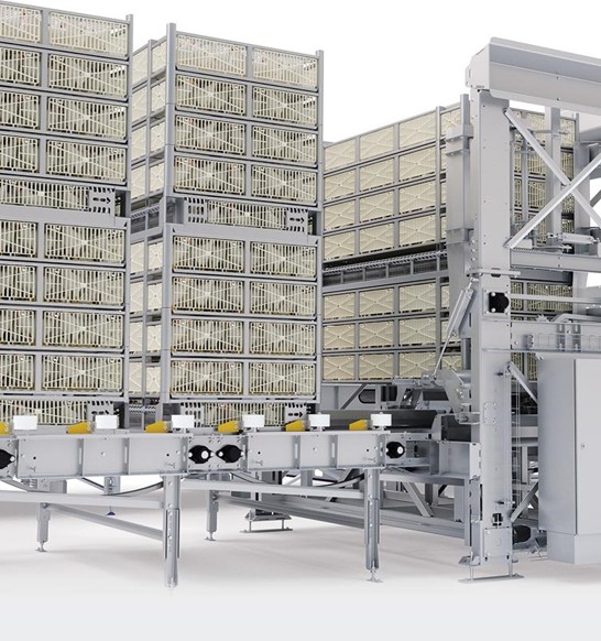 broiler transport modules and poultry loading equipment
