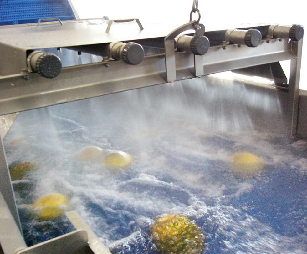 produce being washed on JBT equipment