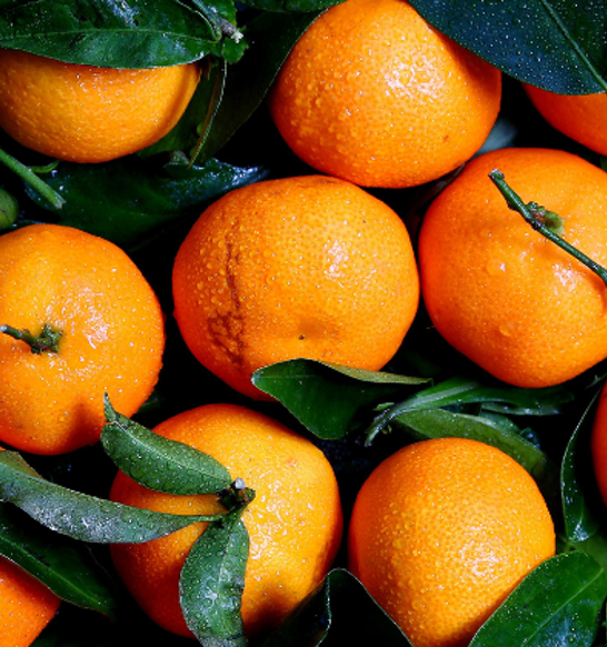 Natural-Citrus-Coatings