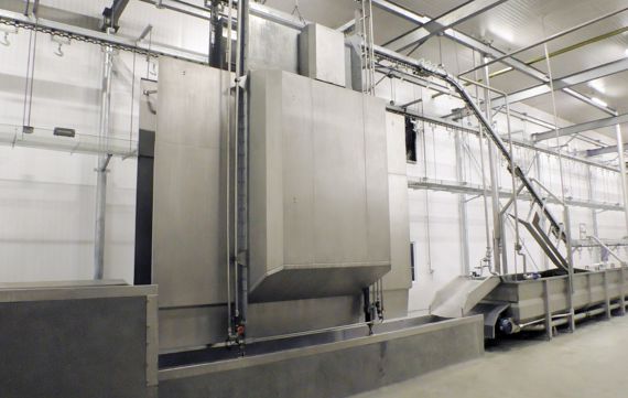 Polish Drying Pork Processing Washing And Polishing