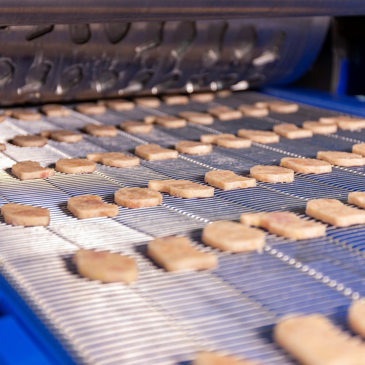 Forming solutions for turkey products | JBT Marel