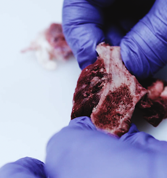 SensorX Magna meat inspection system detects bone and hard contaminants
