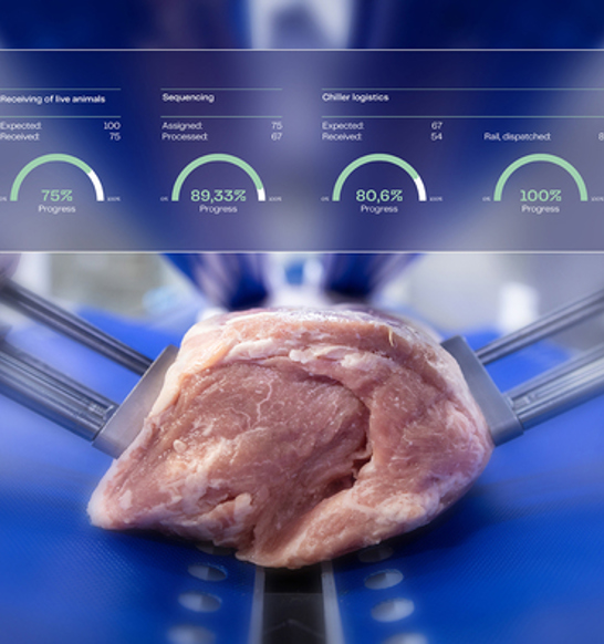 Meat Pork SW Visualization