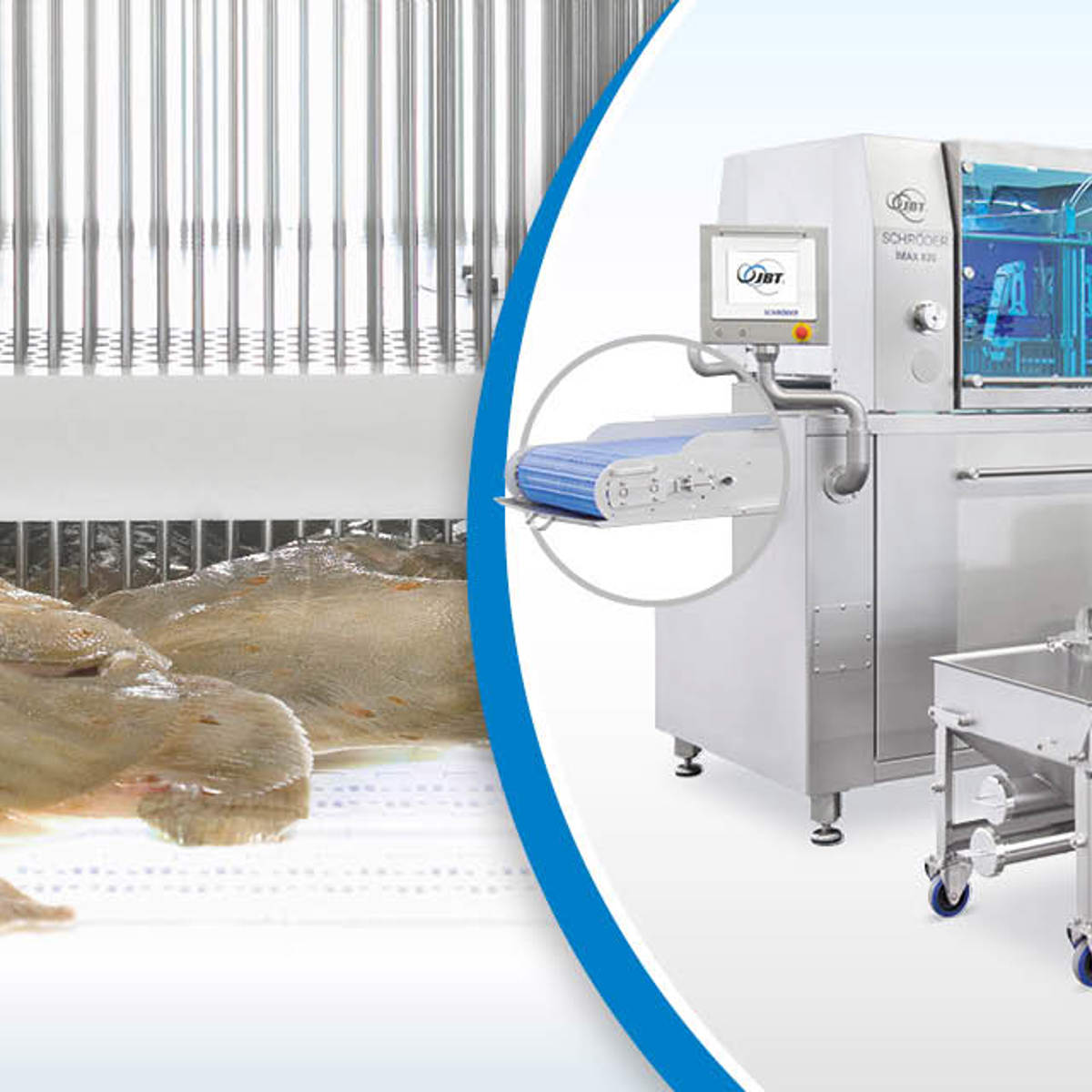 Fish injection technology protects natural product appearance while ...