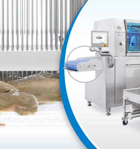 Fish Inject Fish injection technology protects natural product appearance while ...