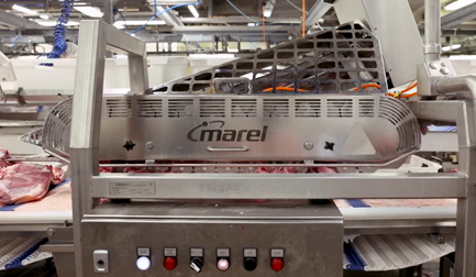 Removedor de Osso da Paleta 