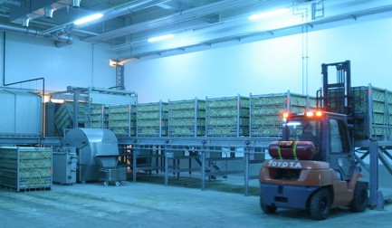 GP 活禽禽笼供应系统