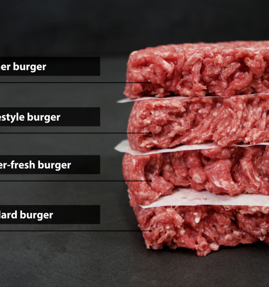 Burger Four Types