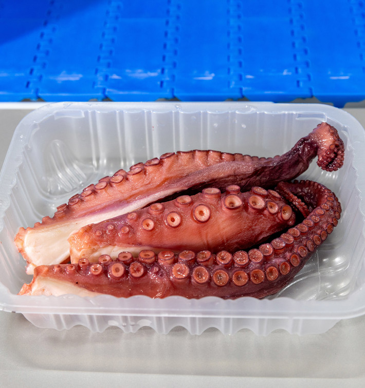 Targetbatcher Octopus