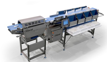 Custom Graders Marine Whole Fish Grader | JBT Marel