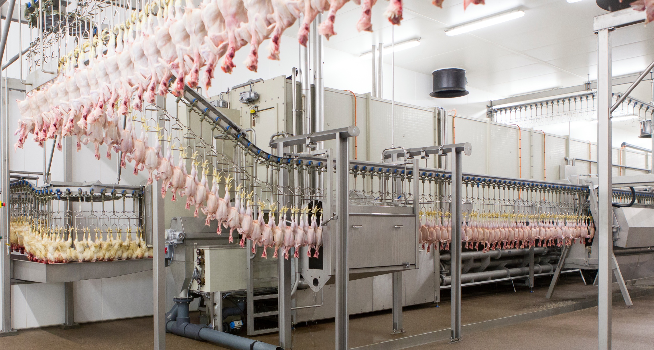 Aeroscalder Plucker Washer