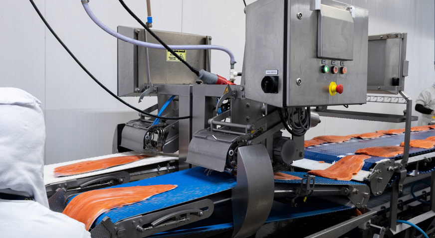 Noronha Brazil Salmon Processing Line