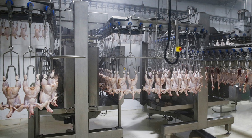 Evisceration Department Asia