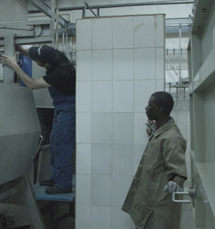 Poultry Processing Technical Service