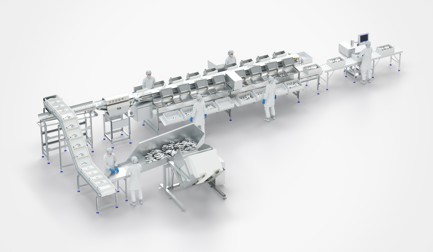 人工养殖鱼类包装解决方案