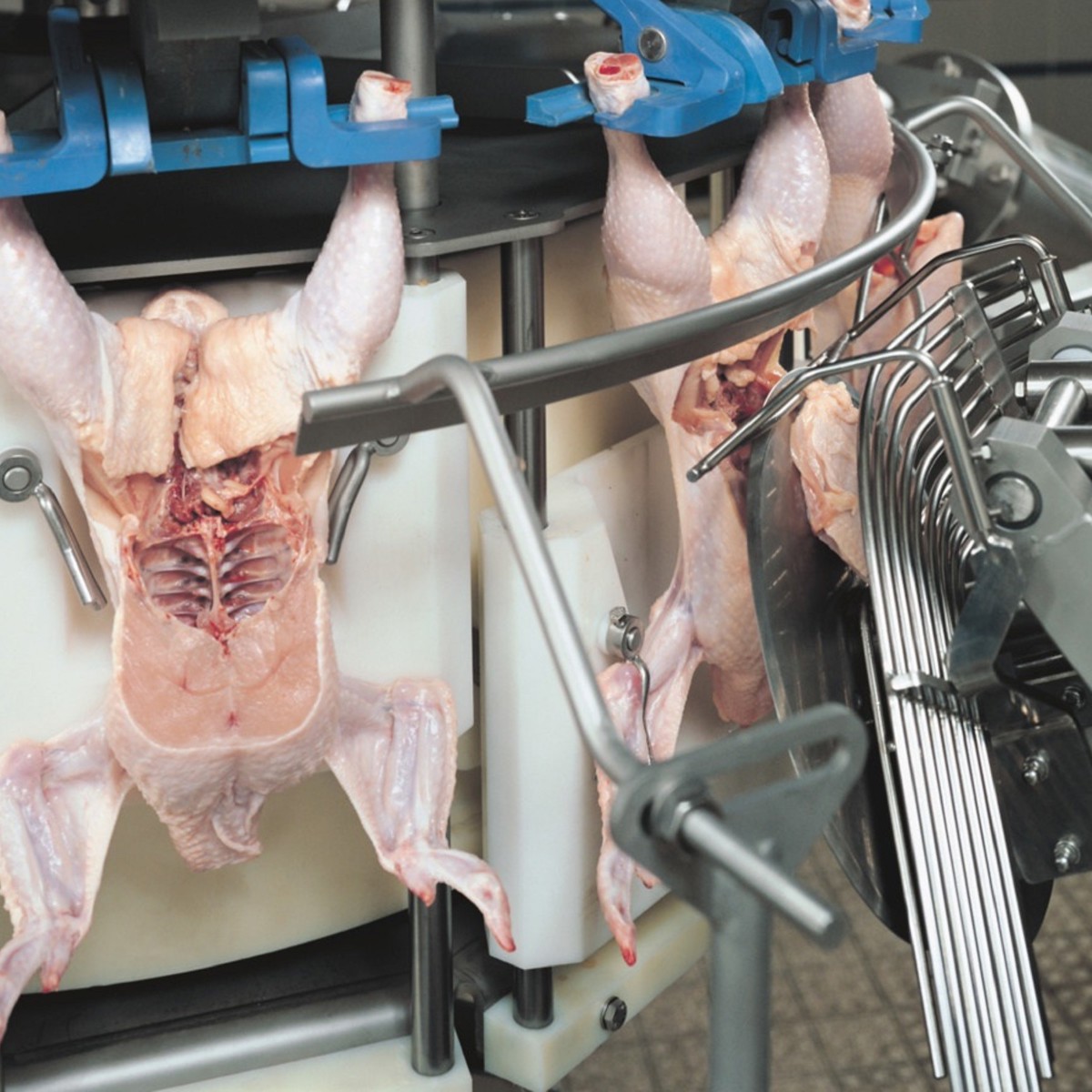 ACM convenience food cut-up | JBT Marel