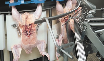 ACM convenience food cut-up