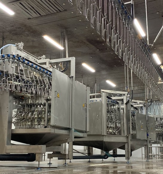 CP LongYan's evisceration department