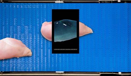 When product flows, profits soar: How singulation before bone detection  boosts yield and keeps poultry lines  moving 
