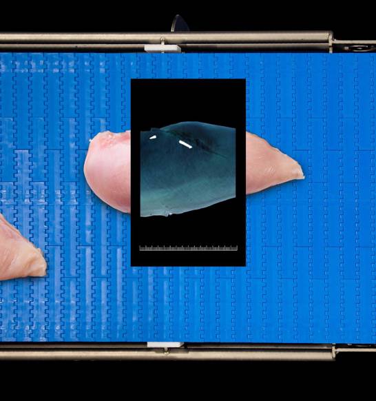 2F Sensorx X Ray Inspection For Food Processors