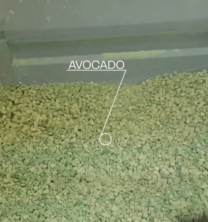 Impingement Freezer Avocado (1)