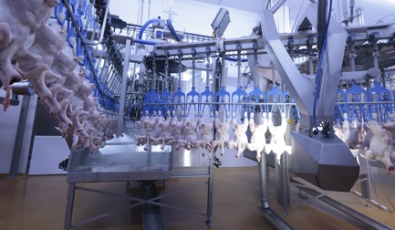 Une machine intelligente représente bien plus qu'un simple écran tactile