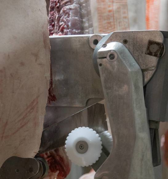 E Line Splitting Chopper Pork 2
