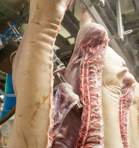 M Line Leaf Lard Remover MLR