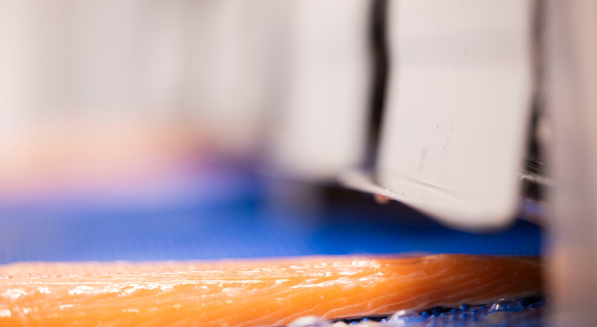 Salmon Outfeed