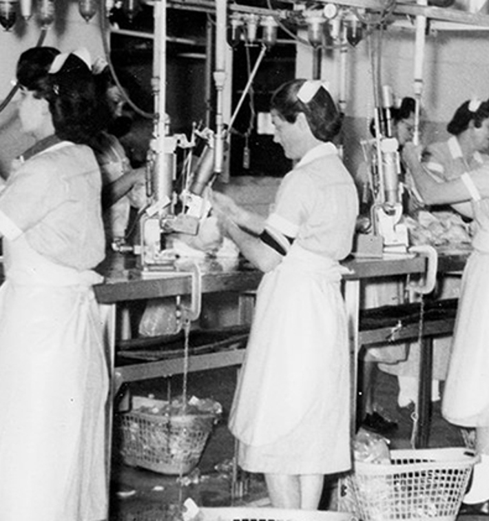 shen-valley-produce-tipper-tie-clippers-2