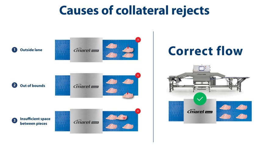 SensorX Infeed Monitoring benefits the entire fillet line | JBT Marel