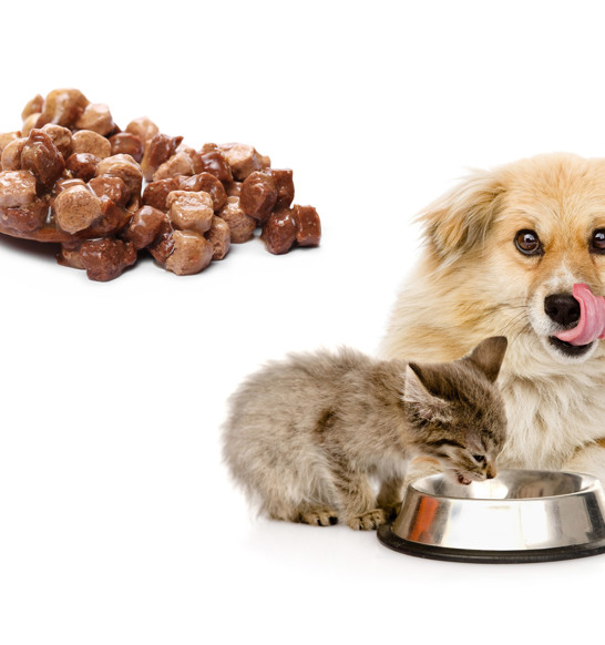 Wet Pet Food General 2