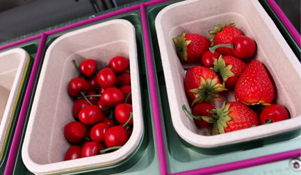 Proseal pioneers workable alternatives to plastic tray sealing