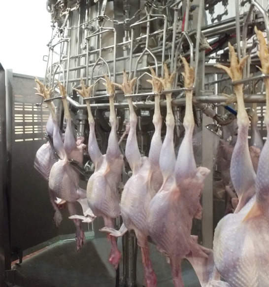 Turkey Vent Cutter VC 8T VC 10T