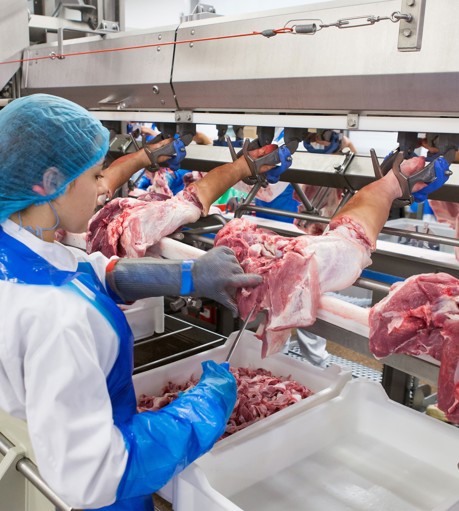 Deboflex meat deboning line