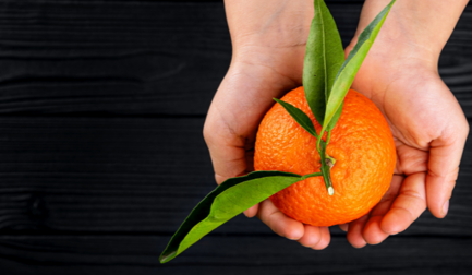 2023 Food and Beverage Manufacturing Trends: Embracing Sustainability