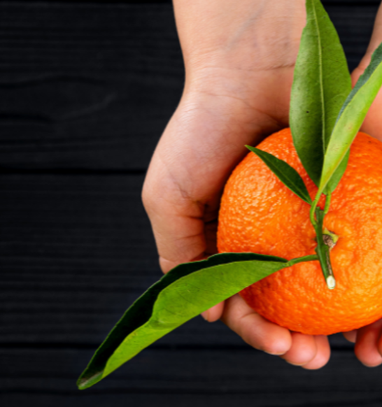 JBT-Carbon-Footprint-Seal-1