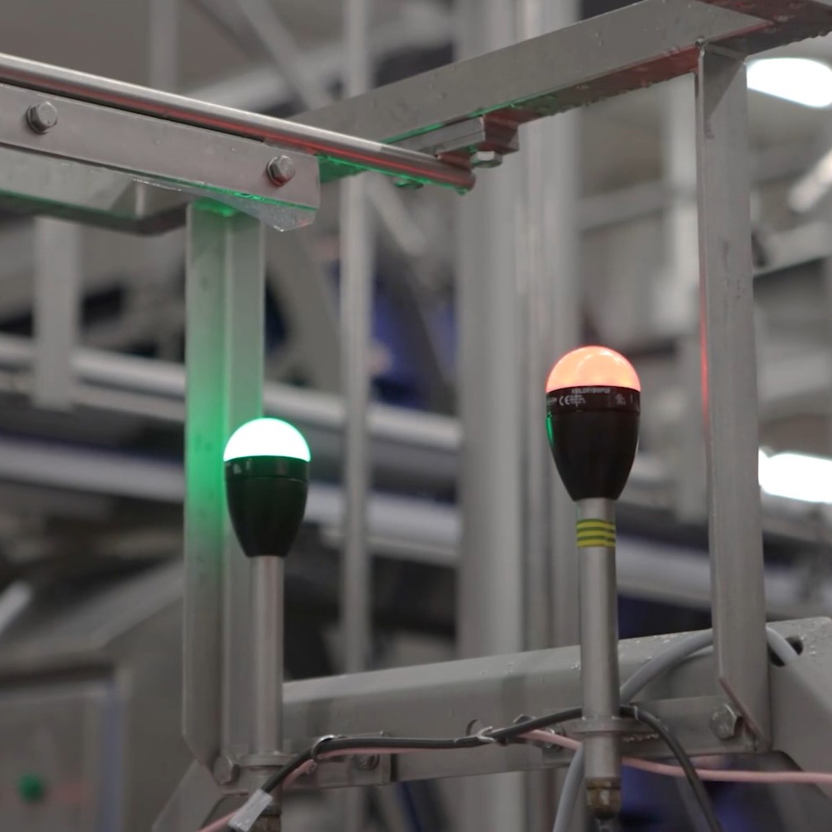 SensorX Infeed Monitoring benefits the entire fillet line | JBT Marel