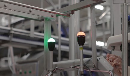 SensorX Infeed Monitoring benefits the entire fillet line