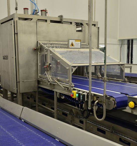 Carcass Cutter For Primal Cutting System In Pork Processing Plant
