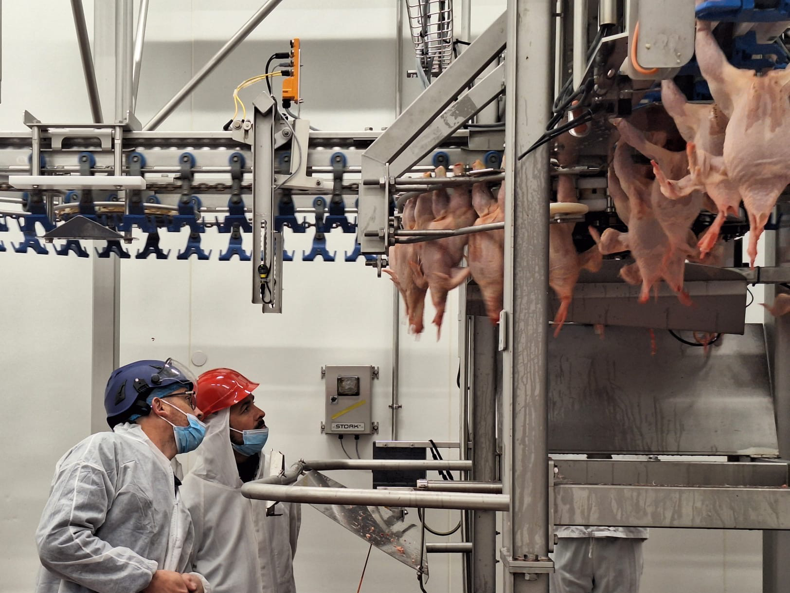 LDC Service Practice