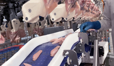 Eficacia optimizada de la línea y mayor robustez con FHF FlexControl