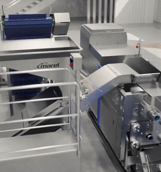 Proten Pork Bones Video Thumbnail 2