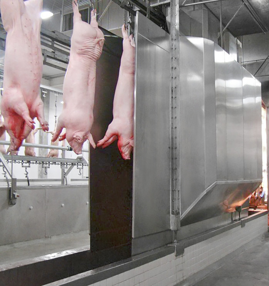 Pork Processing Polish Drying Washing And Polishing