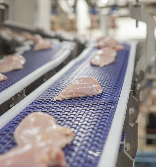 X Ray Systems Automate Food Inspection To Find Contaminants In Food